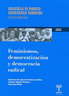 FEMINISMOS , DEMOCRATIZACION Y DEMOCRACIA RADICAL