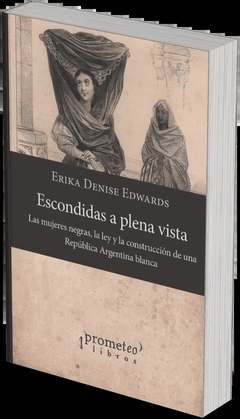 ESCONDIDAS A PLENA VISTA. Las mujeres negras, la ley y la construccion de argentina blanca