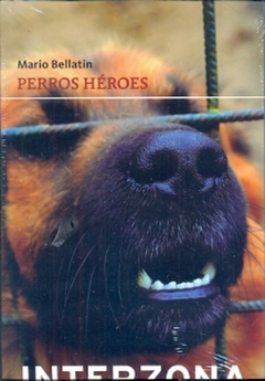 Perros heroes