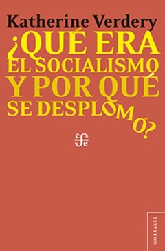 ¿Que era el socialismo y porque se desplomo?