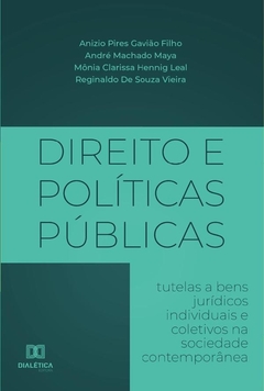 Direito e Políticas Públicas E-BOOK