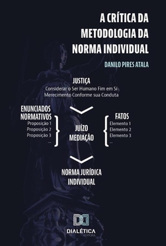 A Crítica da metodologia da norma individual