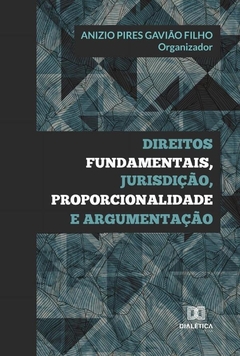 Direitos fundamentais, jurisdição, proporcionalidade e argumentação