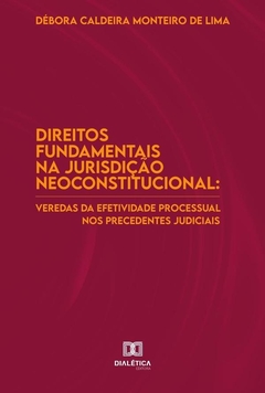 Direitos fundamentais na jurisdição neoconstitucional