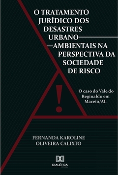 O tratamento jurídico dos desastres urbano-ambientais na perspectiva da sociedade de risco