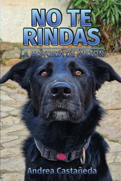 No te rindas