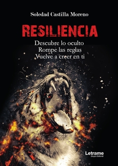 Resiliencia