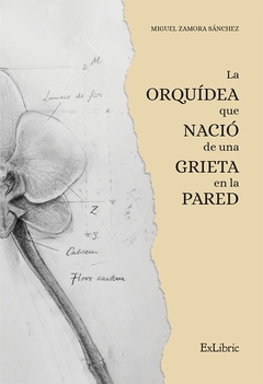 La orquídea que nació de una grieta en la pared