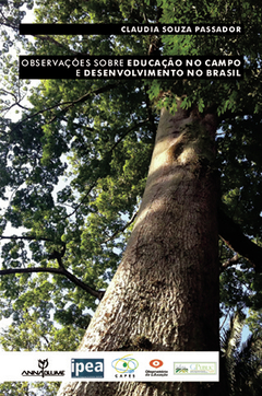 Observações sobre educação no campo e desenvolvimento no Brasil