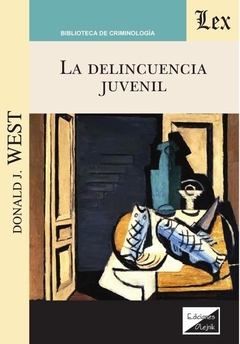 Delincuencia juvenil, la