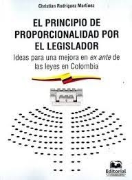 El principio de proporcionalidad