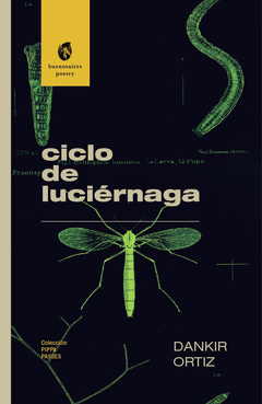 Ciclo de Luciérnaga