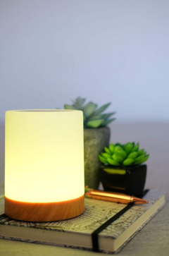 LAMPARA FANAL LED PA356 - comprar online