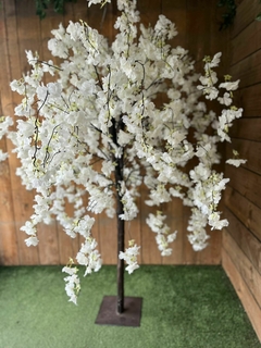 ARBOL DE CEREZO