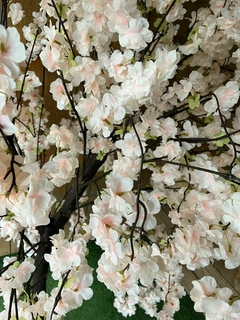 ARBOL DE CEREZO - comprar online