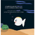 Bravo, pequeño pez blanco Coleccion: PequeÃ±o pez Blanco Autor: Guido Van Genechten Editorial: VyR - tienda online