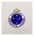 Aplique em acrílico Escudo do Cruzeiro com coroa (3 peças)