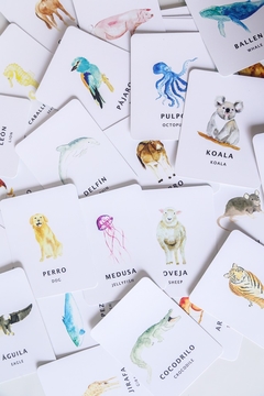 Flashcards FAUNA en internet