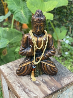 Buda Madeira Mudra Dhyana