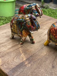 Elefante Indiano Colorido | na internet