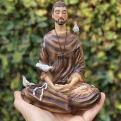 São Francisco Meditando