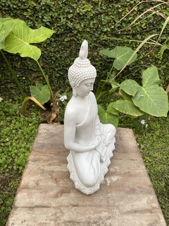 Buda Dhynana - Marmorite (35cm) - loja online