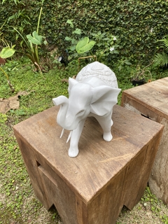 Elefante Indiano Branco