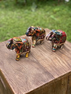 Elefante Indiano Colorido | - Zenz Arts