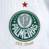 Camisa Palmeiras II 24/25 na internet