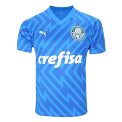 Camisa Palmeiras Goleiro I 24/25