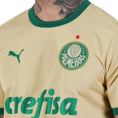 Camisa Palmeiras III 24/25 na internet