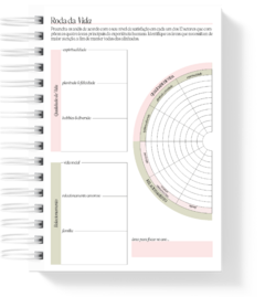 PLANNER 2025 REF. 01 - Rosa Stylosa