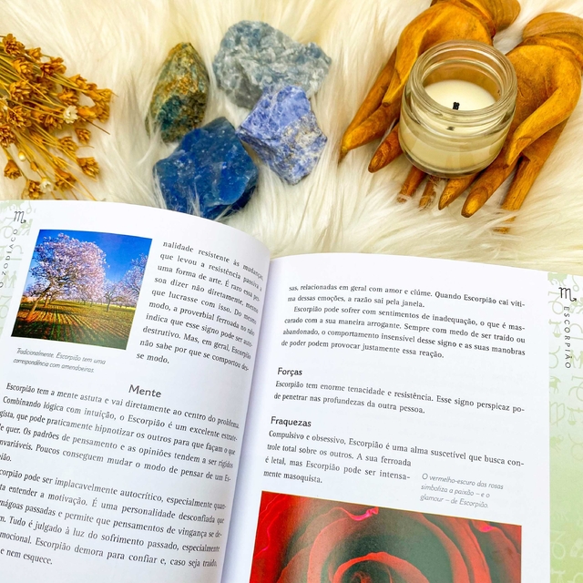 Aromaterapia para Alinhamento de Chakras • Guia da Alma