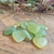 Pingente Coração de Jade - A Pedra das Virtudes - comprar online