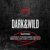 BTS - Album Vol.1 [DARK&WILD] - comprar online