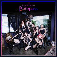 BOTOPASS - Single Album Vol.1 [Flamingo]
