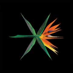 EXO - Album Vol.4 [THE WAR] na internet