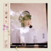 IU - Mini Album Vol.1 Special Remake [A Flower Bookmark II]