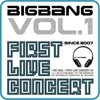BIG BANG - 1st Live Concert Album [THE REAL]