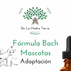 Adaptación / Cambios - Fórmula Flores Bach - Mascotas