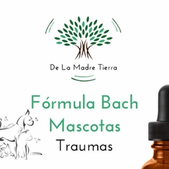 Traumas - Fórmula Flores Bach - Mascotas