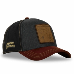 GORRA CAPSLAB LOONEY TUNES COYOTE VS CORRECAMINOS - WRR en internet