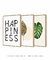 Imagem do Conjunto 3 Quadros Decorativos Fundo Branco - Folhas + Costela Adão + Frase Happiness