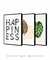 Conjunto 3 Quadros Decorativos Fundo Branco - Folhas + Costela Adão + Frase Happiness