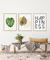 Conjunto 3 Quadros Decorativos Fundo Branco - Folhas + Costela Adão + Frase Happiness