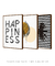 Conjunto de 3 Quadros Happiness, Folhinhas e Coqueiro Listrado - loja online