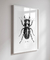 Quadro Decorativo Poster Natureza Inseto Besouro - Preto e Branco, Minimalista - comprar online