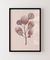 Quadro Decorativo Botânica - Diversidade Rosa na internet