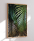 Quadro Decorativo Poster Fotografia Folhas de Palmeira - Natureza, Verde, Tropical - loja online