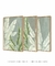 Kit 3 Quadros Decorativos Helicônias Julia Flowers - comprar online